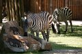 Zoo Straubing_012